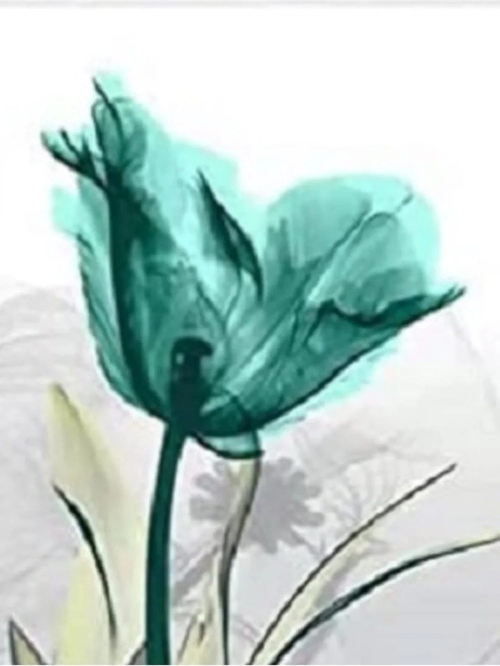 Hand-Painted Tulip Canvas Wall Art - Set of 4